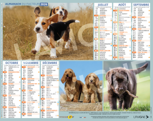 CHIOTS DE CHASSE