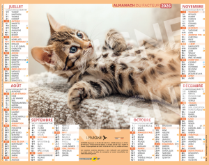 CHATONS