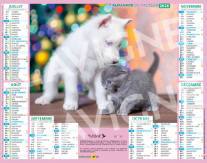 CHATS ET CHIENS