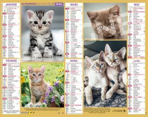 CHATONS CHIOTS MULTIPHOTOS