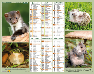 ANIMAUX DES FORETS