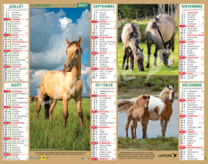 CHEVAUX MULTI PHOTOS