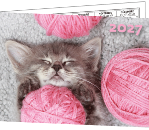 LOT DE 5 CALENDRIERS BIJOUX